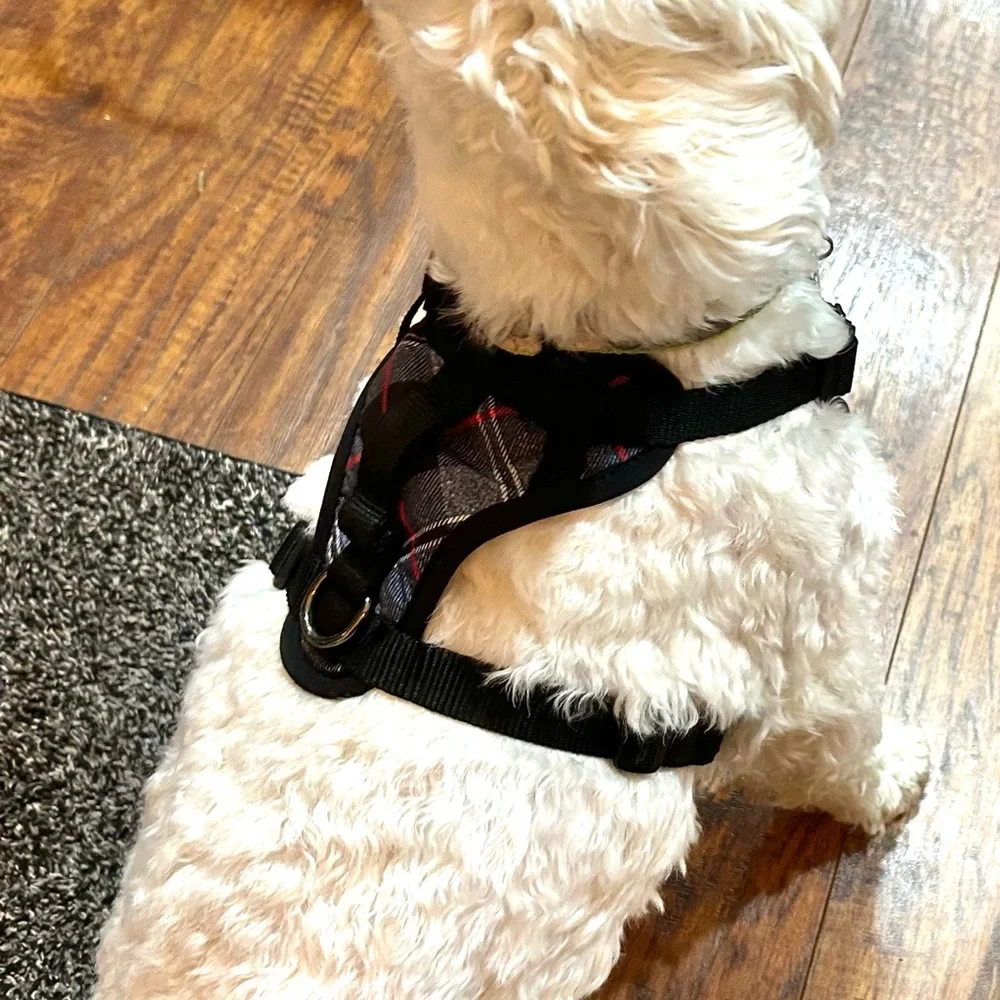 Canada Pooch Everything Plaid Dog Durable Dog Harness - Black, Gray, and Red
